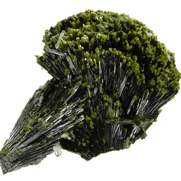 Epidozyt