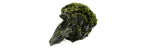 Epidozyt
