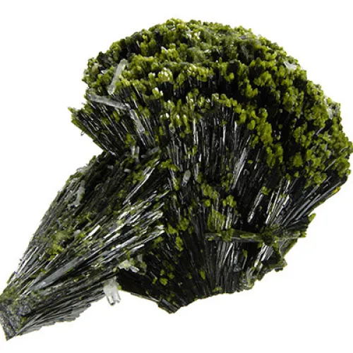 Epidozyt