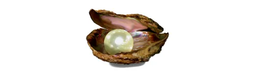 Perły