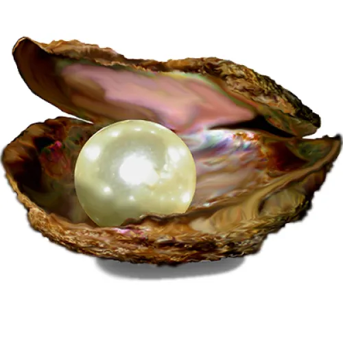 Perły