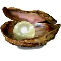 Perły