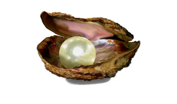 Perły