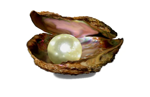 Perły