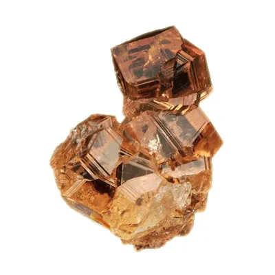 Według znaku zodiaku