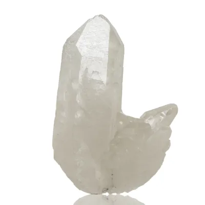 Według znaku zodiaku