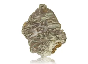 Agat Płytka