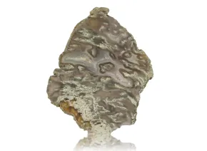 Agat Płytka