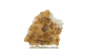 Cytryn