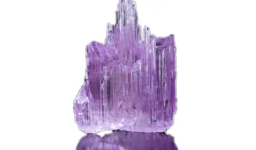 Kuncyt