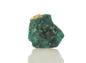 Dioptaz