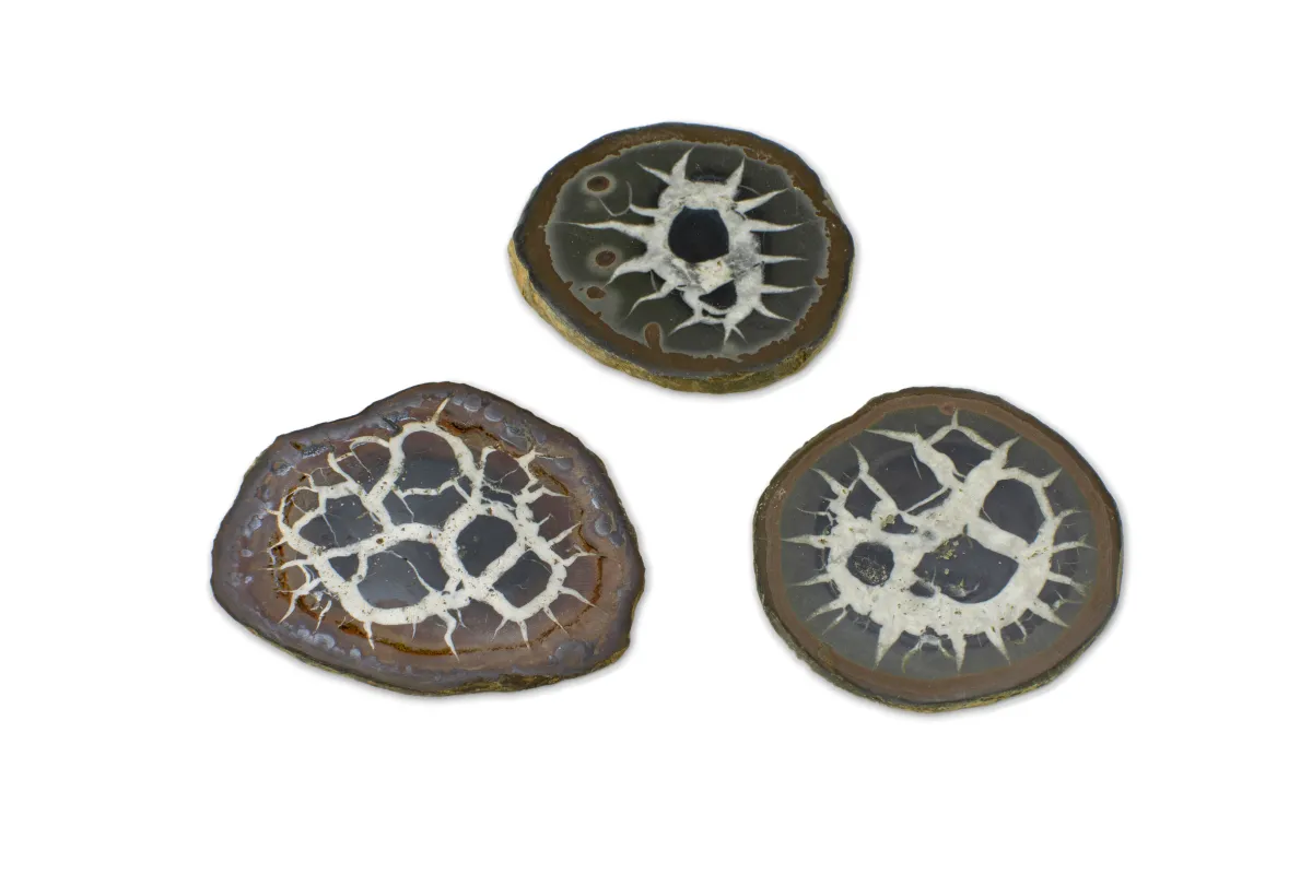 Septaria