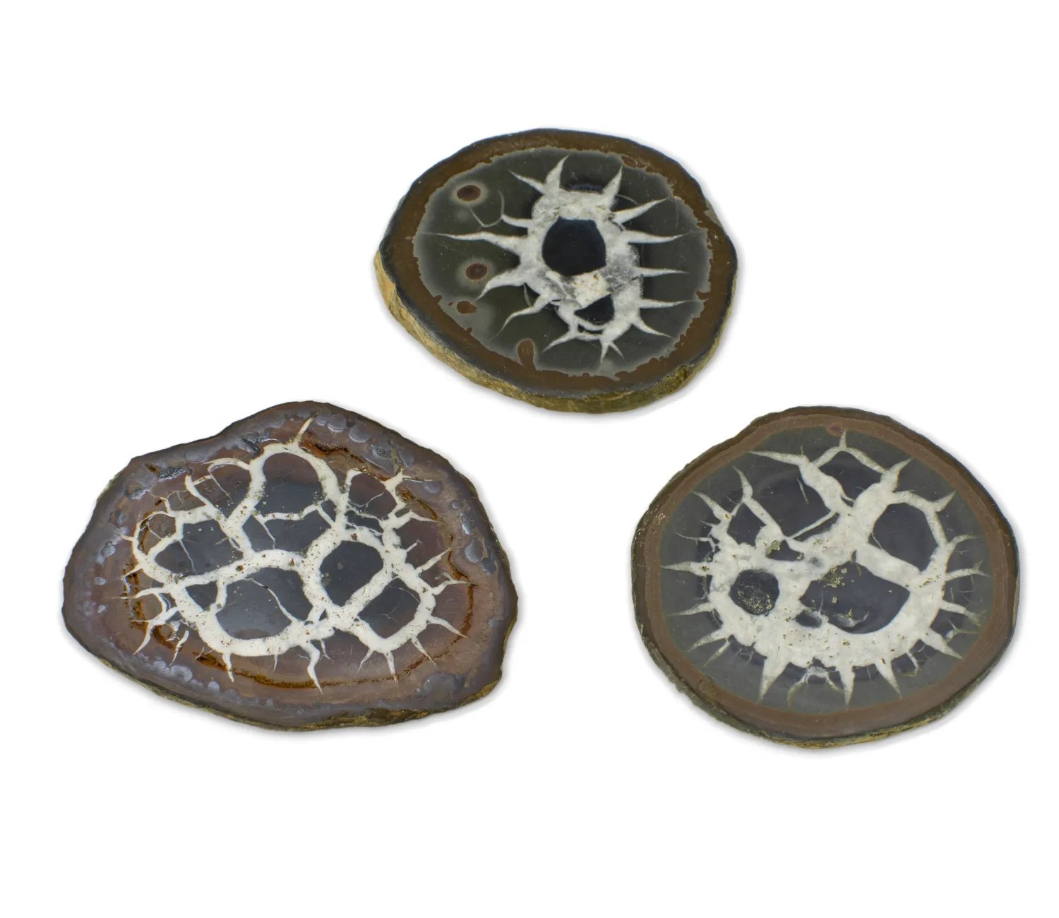 Septaria