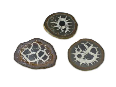 Septaria