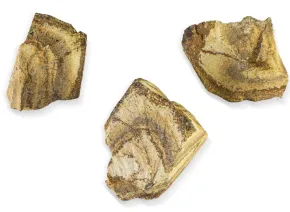 Surowy Jaspis Krajobrazowy