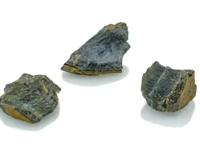 Sokole oko