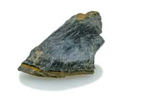 Sokole oko